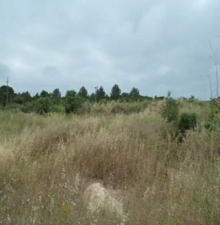 Developable land for sale in sect 40 Llevant de Pau Casals