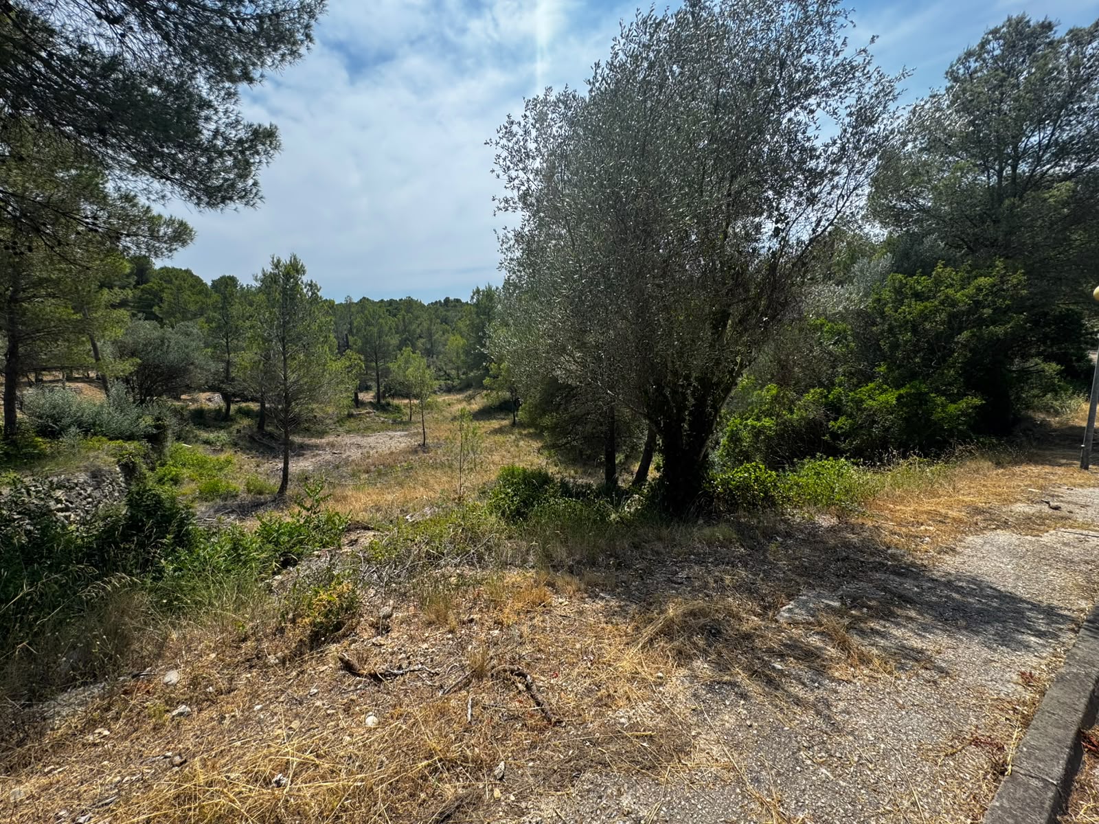 Developable land for sale in ptda Coll de L´alba