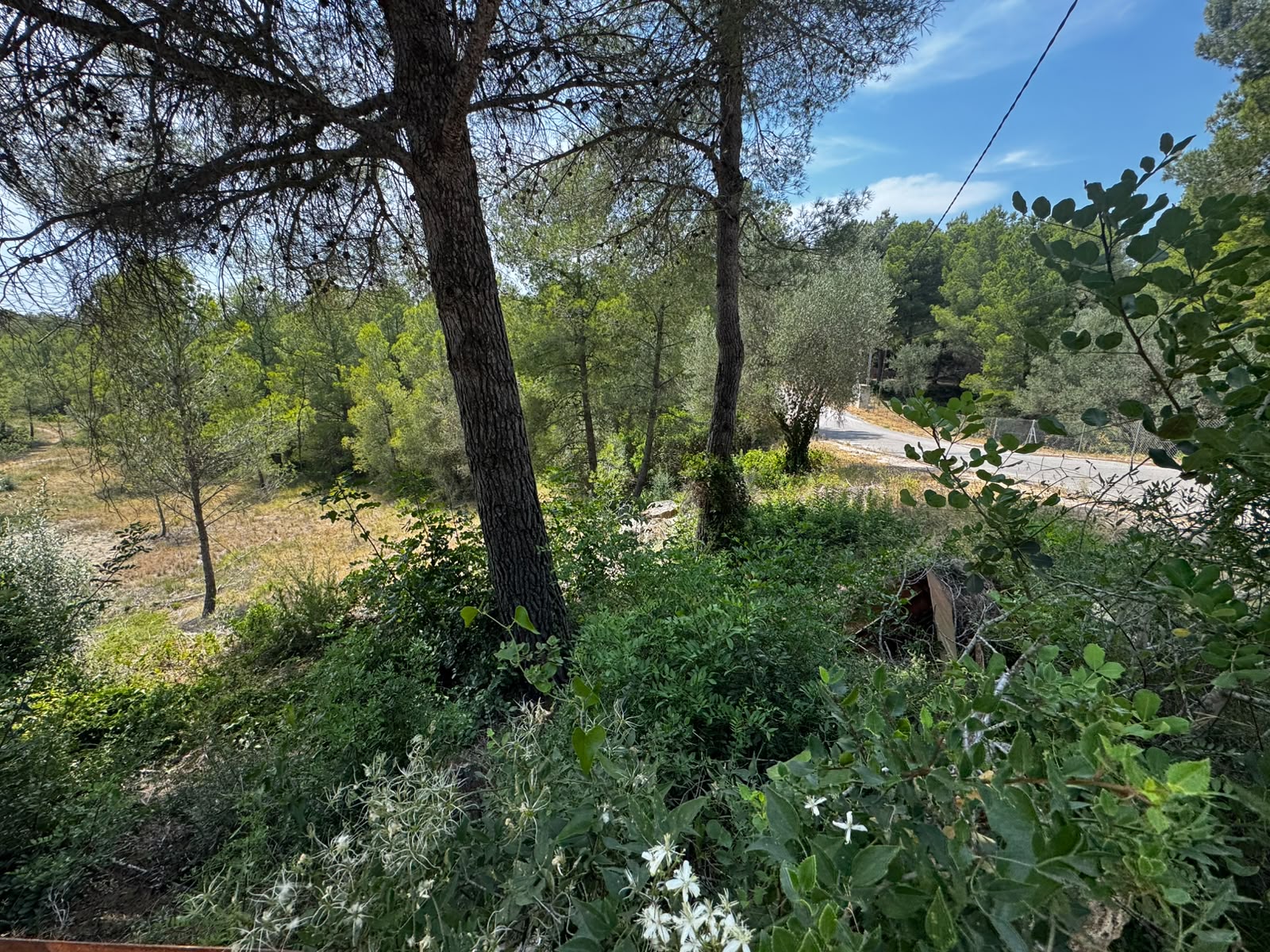 Developable land for sale in ptda Coll de L´alba