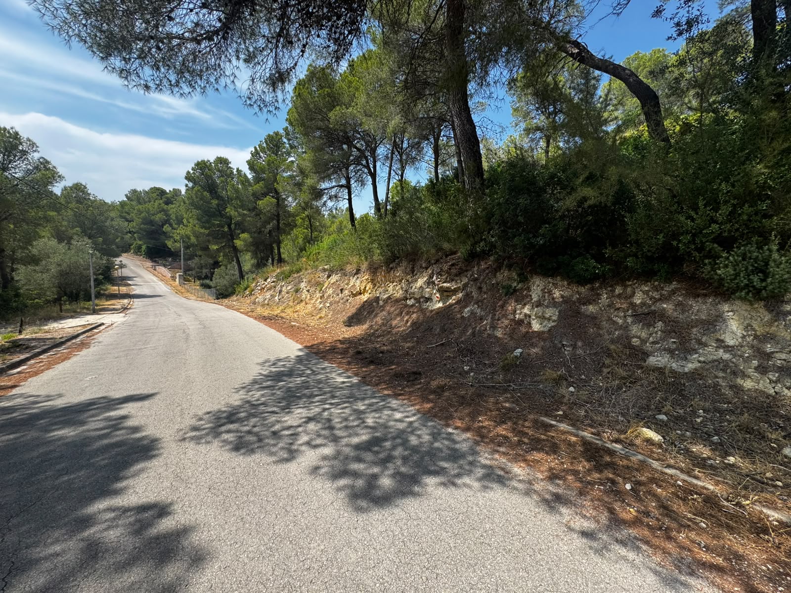 Developable land for sale in ptda Coll de L´alba