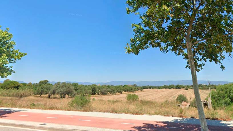 Finca rústica en venta en cmno Cam¡ del Cavet de Barenys