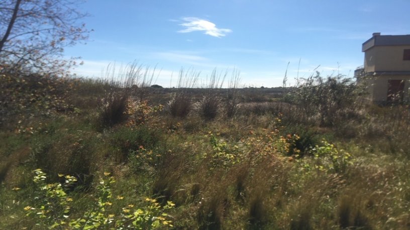 Propriété rustique à vendre à urb Riomar Vi-b