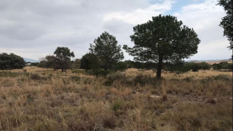 Terreno urbanizable en venta en ctra Carretera