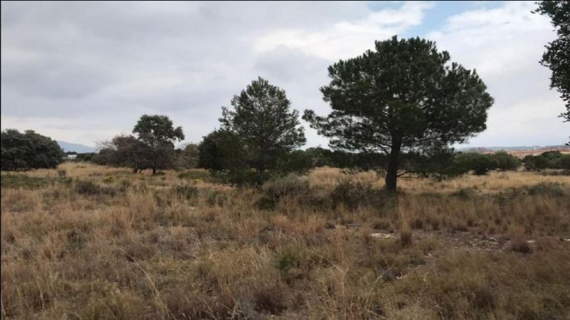 Terreno urbanizable en venta en ctra Carretera