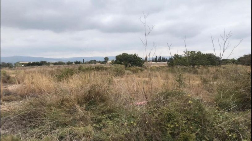 Terreno urbanizable en venta en ctra Carretera