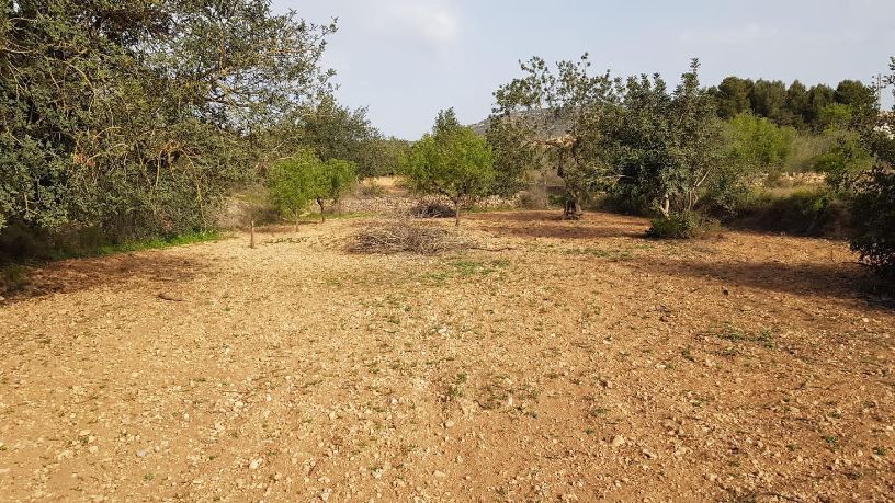 Developable land for sale in polig 74 Parcela 75 el Pantanet