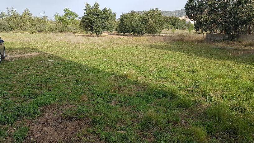 Developable land for sale in polig 74 Parcela 75 el Pantanet