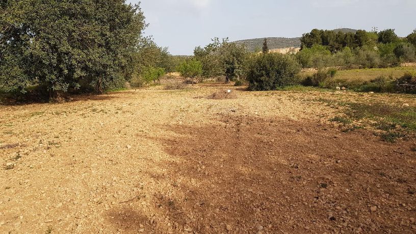 Developable land for sale in polig 74 Parcela 75 el Pantanet