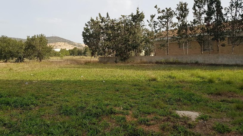 Developable land for sale in polig 74 Parcela 75 el Pantanet