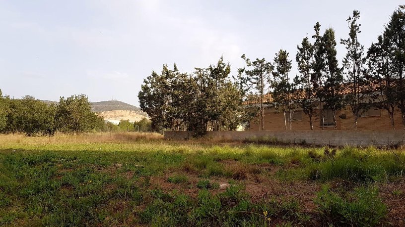 Developable land for sale in polig 74 Parcela 75 el Pantanet