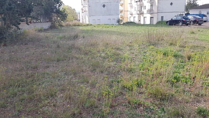Developable land for sale in polig 74 Parcela 75 el Pantanet