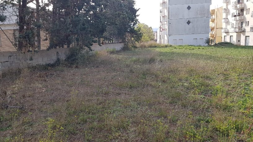 Developable land for sale in polig 74 Parcela 75 el Pantanet
