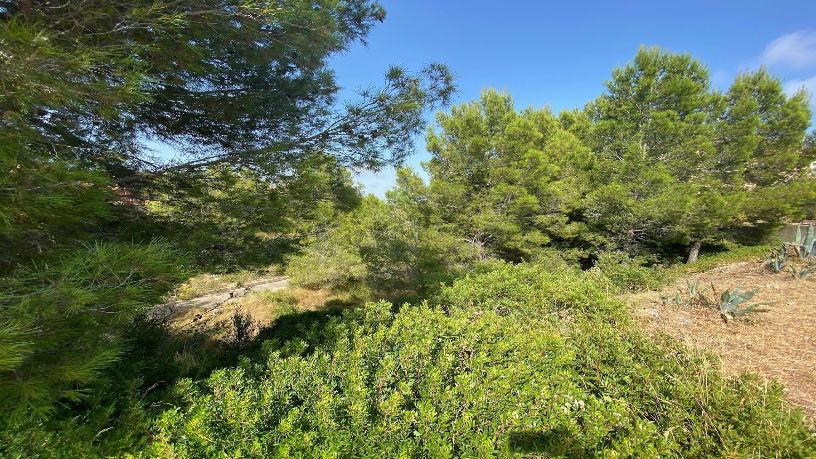 Urban ground for sale in calle De la Republica Argentina