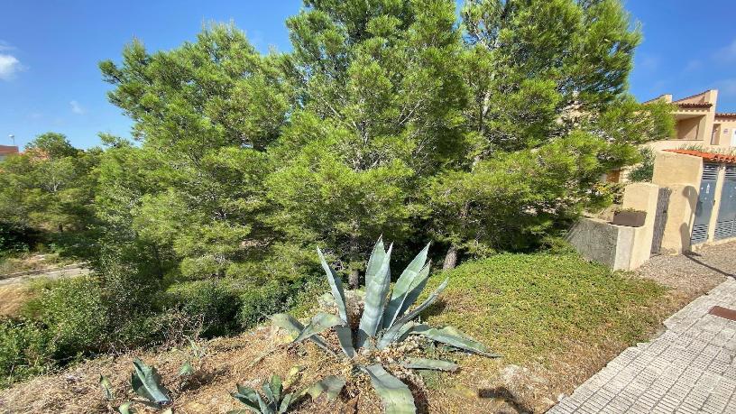 Urban ground for sale in calle De la Republica Argentina