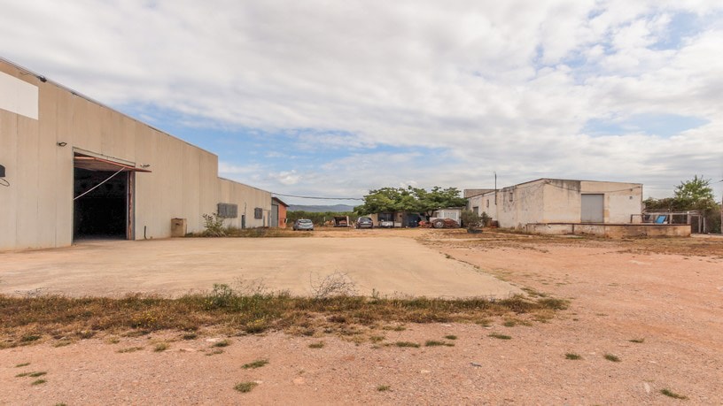 Industrial unit for sale in paraje Autopista del Mediterráneo