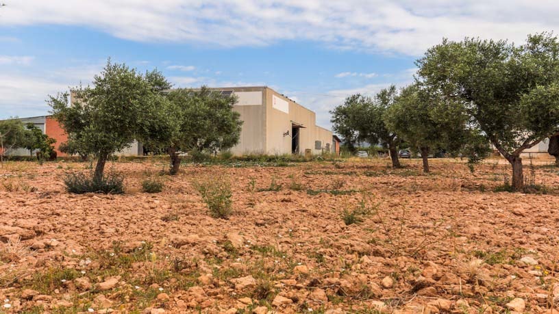 Industrial unit for sale in paraje Autopista del Mediterráneo
