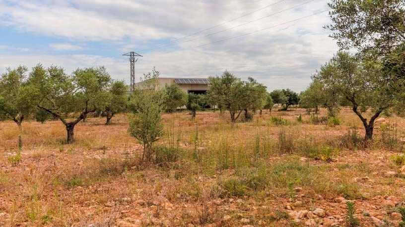 Industrial unit for sale in paraje Autopista del Mediterráneo