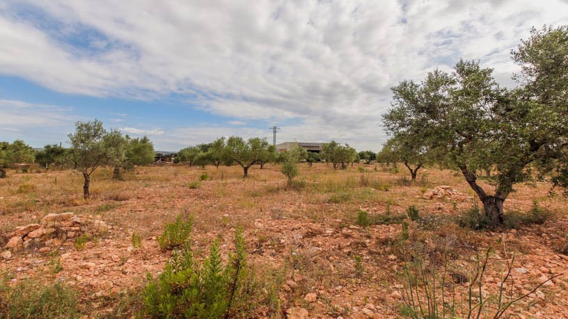 Industrial unit for sale in paraje Autopista del Mediterráneo