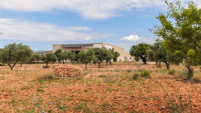 Industrial unit for sale in paraje Autopista del Mediterráneo
