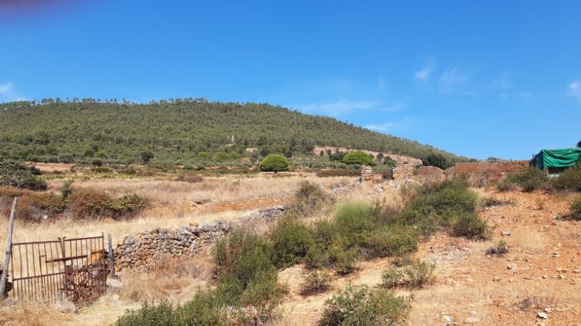 Ground for sale in praje Carboneras Pol 4 Parc 146