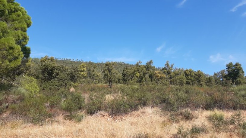 Ground for sale in praje Carboneras Pol 4 Parc 146
