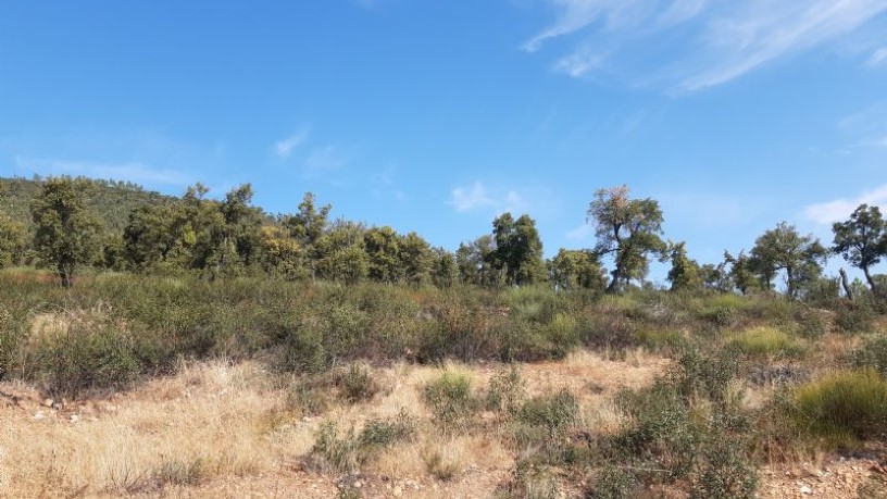 Ground for sale in praje Carboneras Pol 4 Parc 146