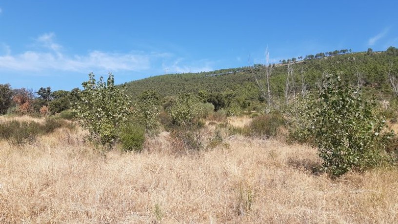 Ground for sale in praje Carboneras Pol 4 Parc 146