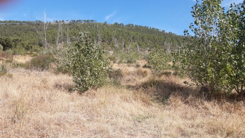 Ground for sale in praje Carboneras Pol 4 Parc 146