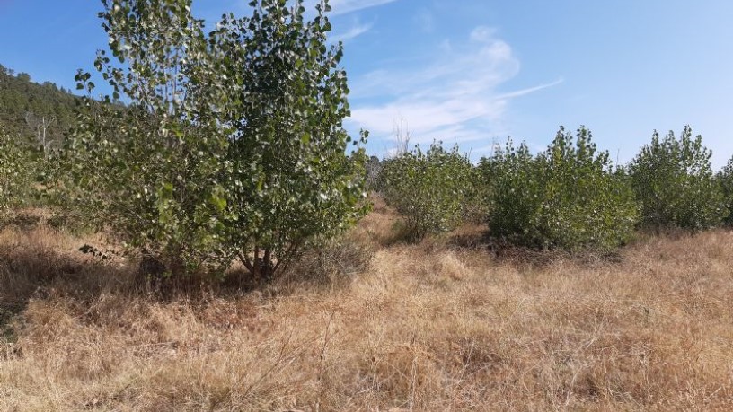 Ground for sale in praje Carboneras Pol 4 Parc 146