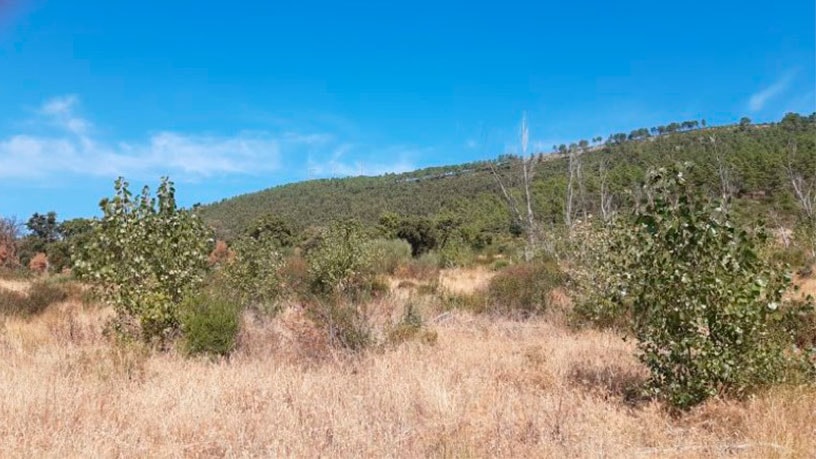 Ground for sale in praje Carboneras Pol 4 Parc 146