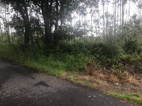 Terreno en venta en praje Rial de Arriba, Pol.24 Parc.95