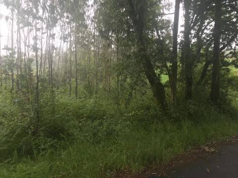 Terreno en venta en praje Rial de Arriba, Pol.24 Parc.95