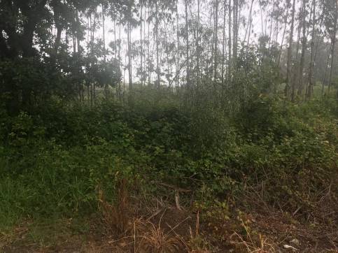 Terreno en venta en praje Rial de Arriba, Pol.24 Parc.95