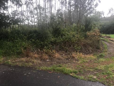 Terreno en venta en praje Rial de Arriba, Pol.24 Parc.95