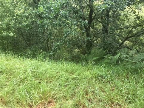 Terreno en venta en praje Rial de Arriba Pol.24 Parc.182