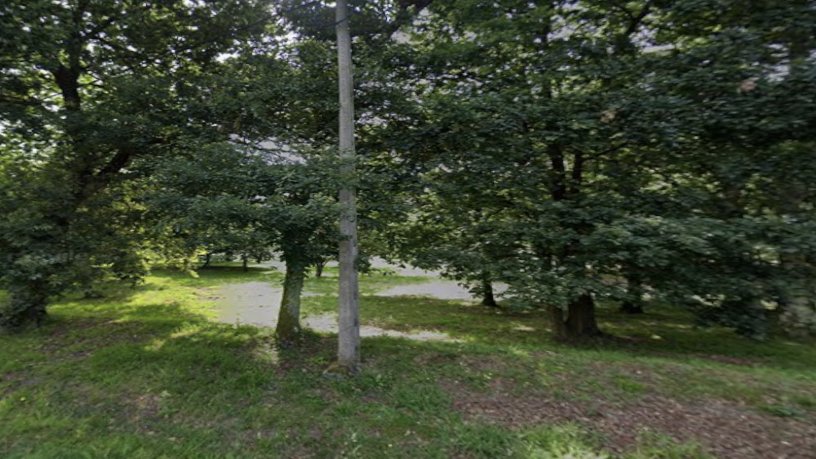 Terreno en calle Piñeiros Parroquia San Martin de Jubia S/n, Narón, A Coruña