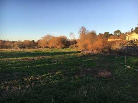 Terreno urbanizable en venta en lugar Punxeiras Baixas