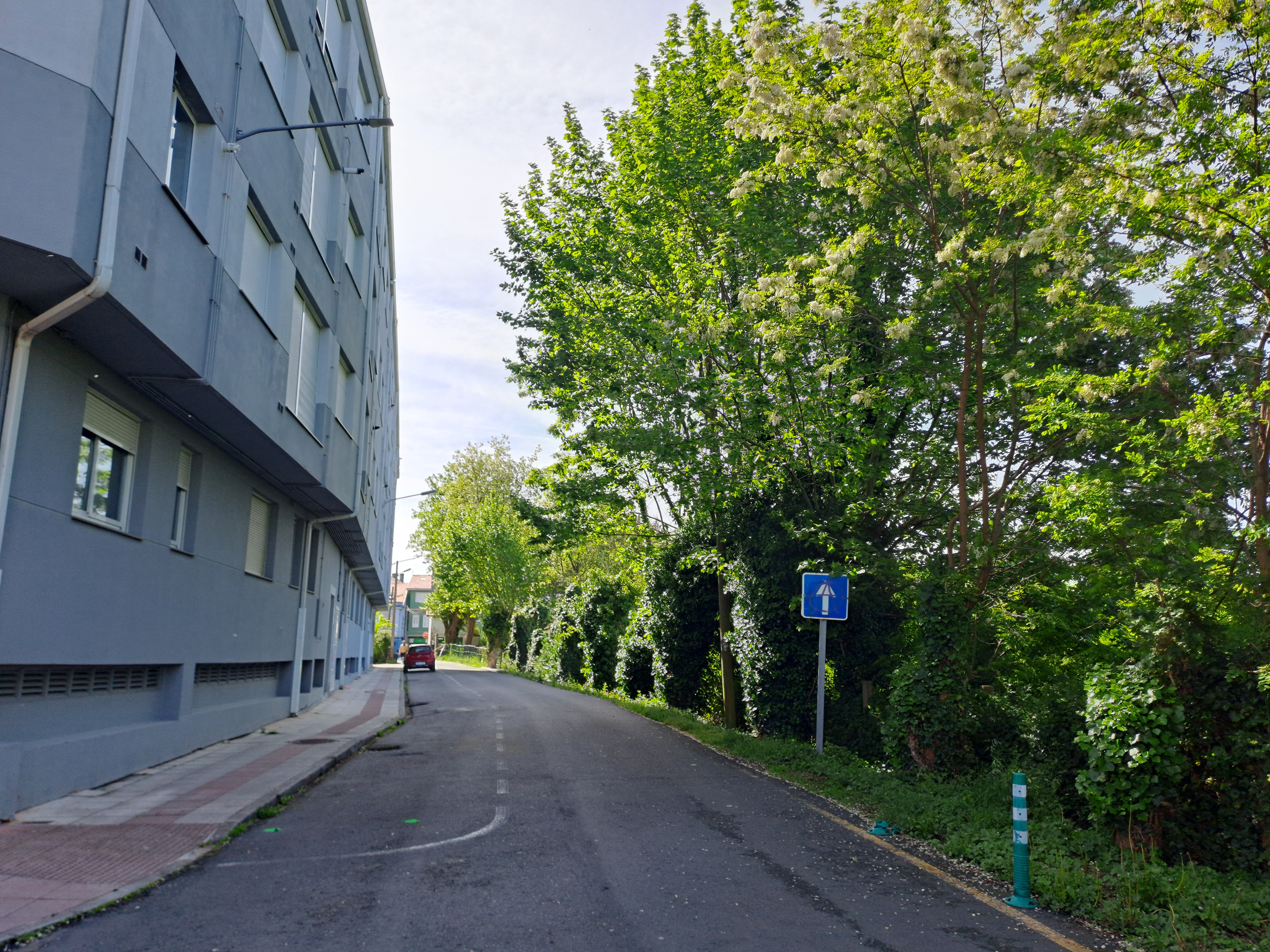 Terreno urbanizable en venta en rua Fonte Da Cruz Sn