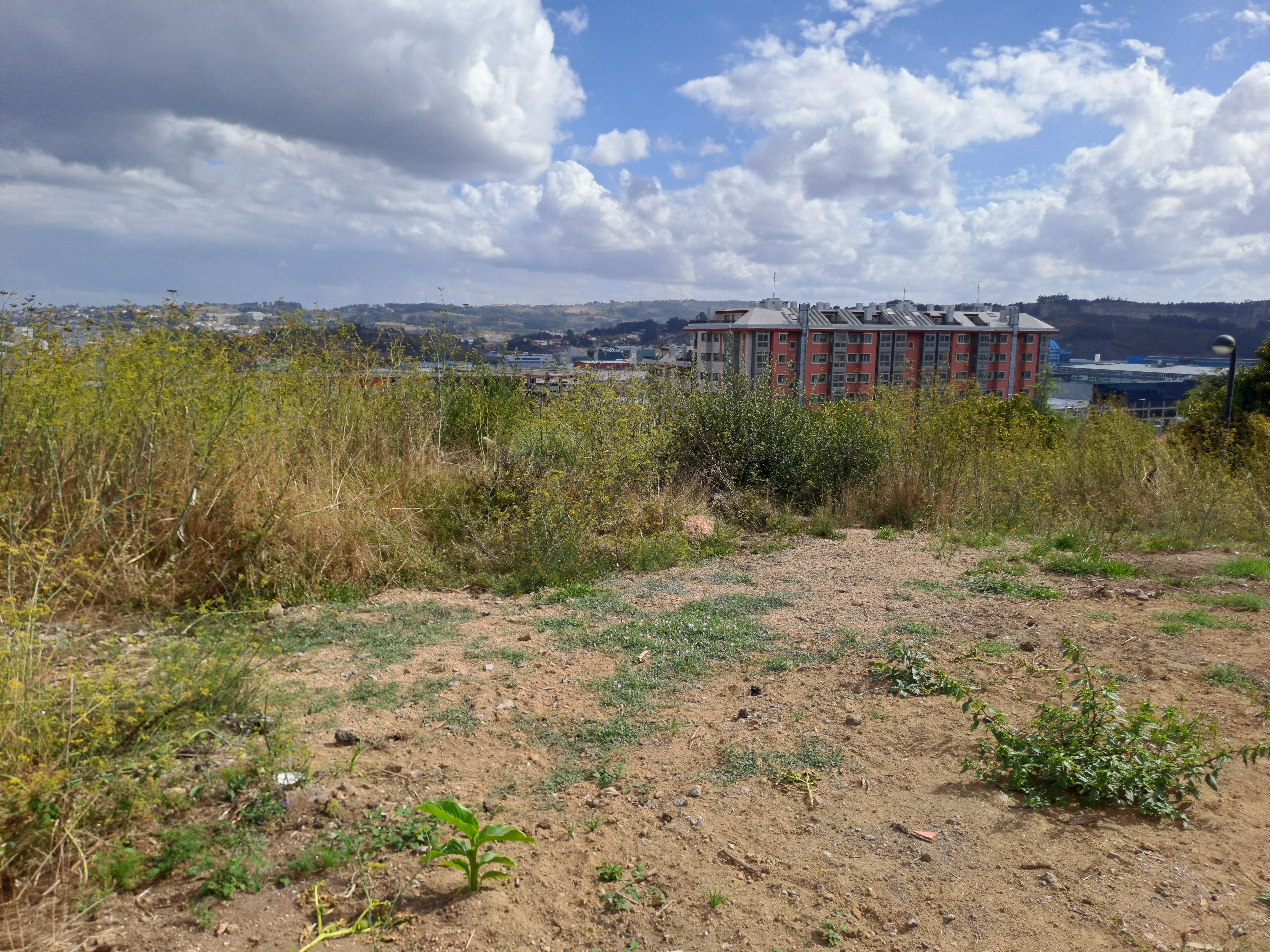 Terreno urbano en venta en calle Derechos Humanos