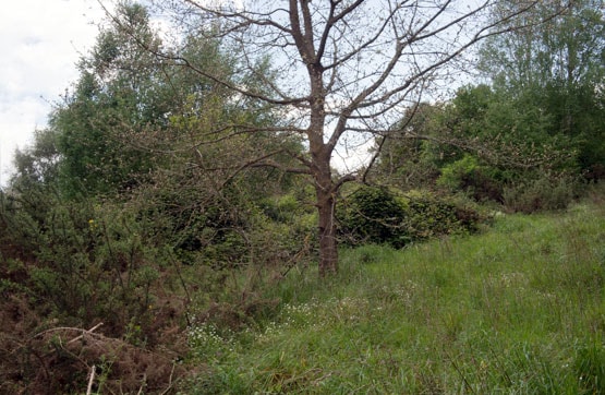 Terreno en venta en lugar Costa