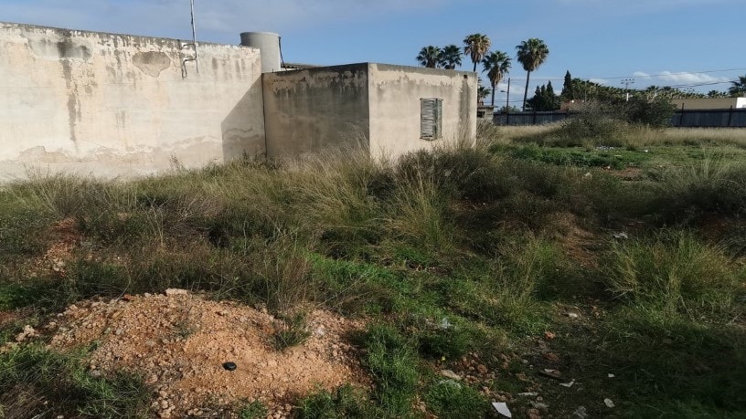 Developable land for sale in cmno Roig