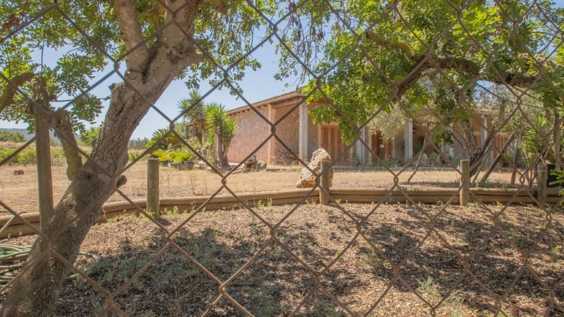 polig 4 - Parcelas 485 y 52 (terrades), 07320, Santa María del Camí, Islas Baleares