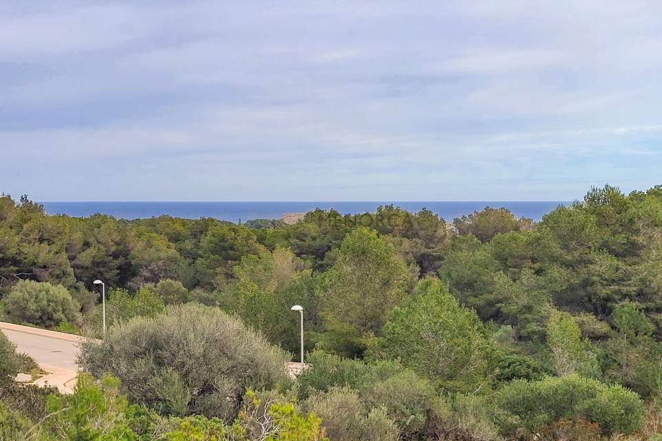 Terreno urbano en calle Carrer Des Savines, Castell (es), Islas Baleares
