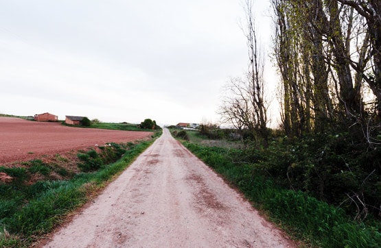 Ground for sale in cmno De las Bodegas S/n