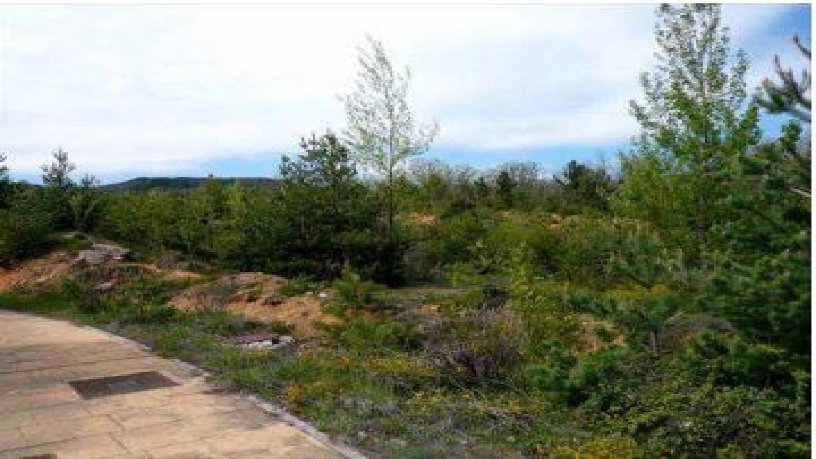 Terreno urbano en venta en calle Sojuela