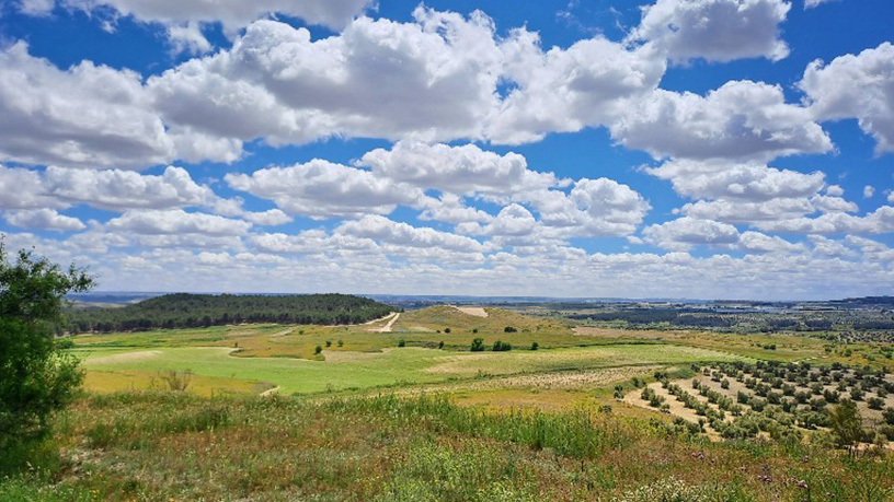 Finca rústica en venta en lugar Entreceros