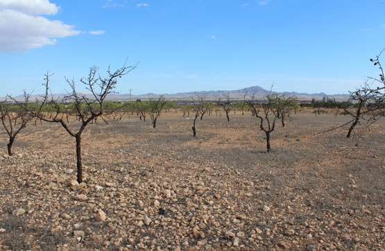 Terreno en venta en praje Las Roturas de la Valenciana, Pol 6 Parc 399