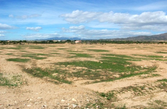 Terreno en venta en praje Del Lomo, Pol 6 Parc 192