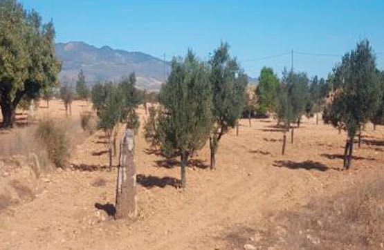 Terreno en venta en praje Cañada Seca