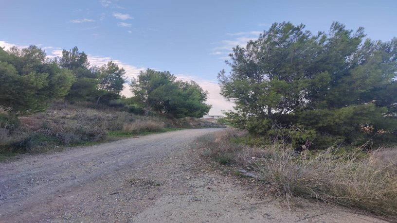 Terreno urbanizable en venta en cmno Ds Cartagena